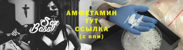 гидра Алексин