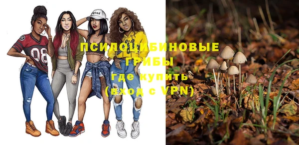 амф Медвежьегорск
