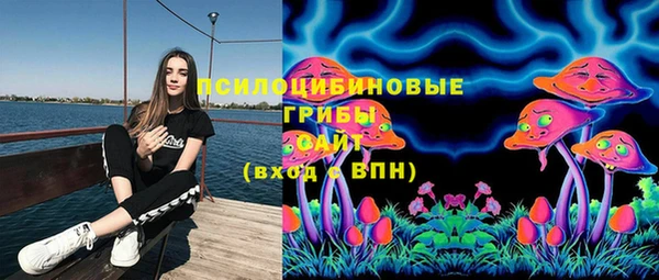 молекула духа Медногорск
