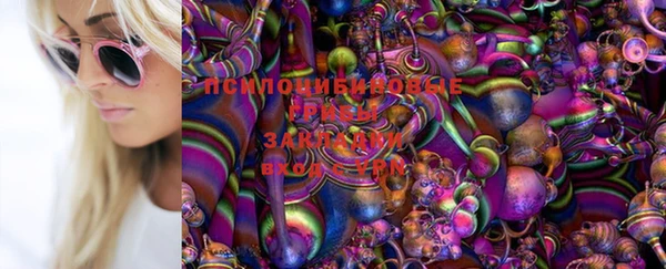 гидра Алексин