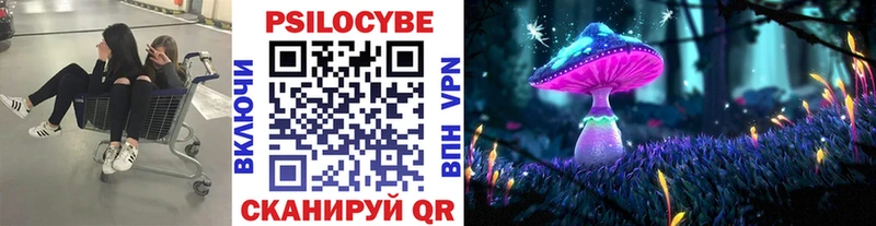 где купить наркотик  Нытва  кракен зеркало  Галлюциногенные грибы GOLDEN TEACHER 